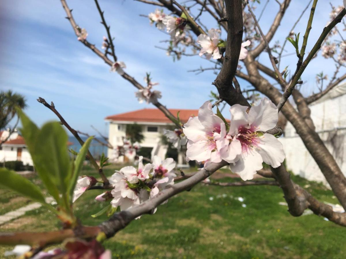 Diomare Villas Kypseli Exteriér fotografie